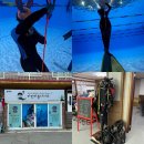 마린짐운동센터 | 창원 - 마린버블다이브 / 경남 프리다이빙 자격증 강습 / 프리다이빙 체험 강습 후기