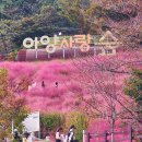 코코농장 1 이미지