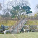 [경상남도 산청] 황매산 미리내 파크 오토캠핑장(ft.반려견동반가능)