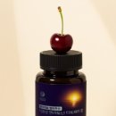 캐슬의아침 이미지