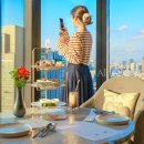 노바루스관광호텔 | 오사카 신상 호텔 센타라 그랜드 객실 클럽라운지 해피아워 조식