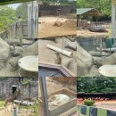 이마트24 R남가좌진성 | 5月
