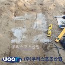 서울양화초등학교 이미지