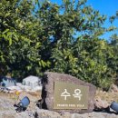 풀빌라수옥 이미지