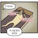 천호 크로스핏 리차지 2일차 운동후기