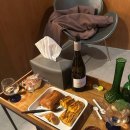 제주코기네 | 겨울 제주 여행🌴🤍