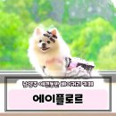 에이플하우스 | 남양주 애견 동반 카페 에이플로르 숲속 정원