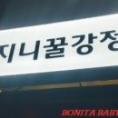 지니꿀강정