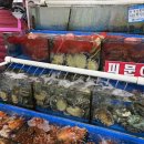 신안군 - 5651 | 노량진수산시장횟집 신안군횟집 계절모둠회 포장 후기, 홈파티 제대로 즐겼다