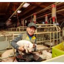 싱싱포크 이미지