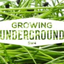 그로잉(growing)