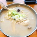 포항 혼밥 추천 [현풍닭칼국수] 후기