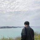 어반정육 이미지