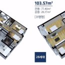 띠아모라이프