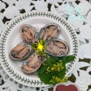 청정바다 이미지