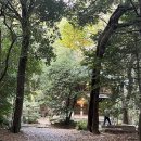 [교토여행] 숲 속 동화같은 카페 “모안” 주말 오후 방문후기