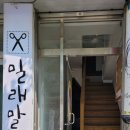 밀래말래 이미지