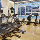 팀식스짐 이미지