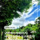 올챙이의 꿈 | 갈만한곳 ​군위 카페 우즈 : 계곡과 숲이 있는 대구 근교 야외 대형 카페 (아이랑 물고기 올챙이 잡기)
