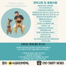 힐링그루밍 이미지