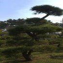 우송농장 이미지