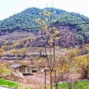 화전3리 마을회관 이미지