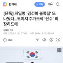 [단독] 파일명 ‘김건희 블록딜’ 또 나왔다…도이치 주가조작 ‘선수’ 외장하드에 이미지