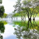 자연(아)경로당 이미지