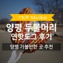 정암농장 | 두물머리 연핫도그 | 경기도 양평 가볼만한곳 | 드라이브 데이트 코스 주차장