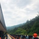 침곡리 입구 네이버블로그