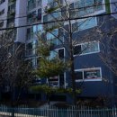 리틀포도나무어린이집 이미지