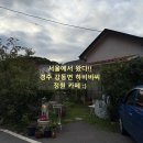 강동로1-71 | 경주 하비비씨, 조용한 정원 카페의 매력