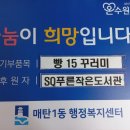 푸른작은도서관 이미지