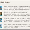 대명항공여행사 이미지