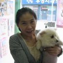 마음을 나누는 동물병원 이미지