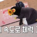 구마수산