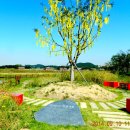 갯골생태공원 이미지