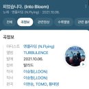 파스텔리아 이미지