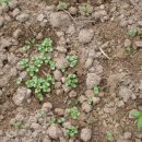 오삼농장 이미지