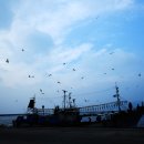 백암노인정 | (울진)삼림욕,해수욕,온천욕의 삼욕(三浴)으로 몸과 마음을 깨끗이 하니 갯가에 있어도 문향으로 가득찰...