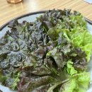 엄마손대구탕 이미지