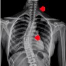 자상한한의원 이미지