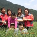 성기 농장 이미지