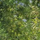 칠금2호 어린이공원 이미지