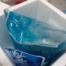 완도전복 이미지