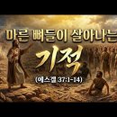 예언자 에스겔 45 이미지
