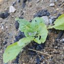 (주)나무재 이미지