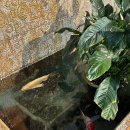 [대전 봉명동 카페]🌟미디어아트 감성 24시 카페 방문 후기 &#39;폴레폴레 봉명점&#39;🌿