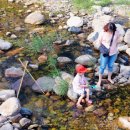 미림황토별펜션 이미지