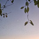 황금성(서생) 이미지